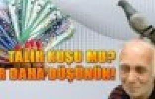 Talih kuşu, gerçekten talih mi?
