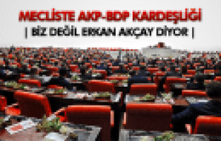 TBMM’DEKİ TÜRKLÜK TARTIŞMASINDA AKP- BDP KARDEŞLİĞİ