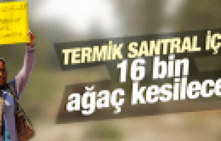 TERMİK SANTRAL İÇİN 16 BİN AĞAÇ KESİLECEK