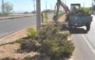 Turgutlu Belediyesi E-96 Karayolu İyileştirme Çalışmalarına Devam Ediyor