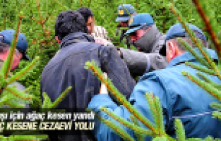 YILBAŞI İÇİN AĞAÇ KESEN YANDI