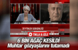 YIRCA MUHTARI: O ZEYTİN BOĞAZINIZA DURMAYACAK MI?