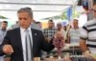 Yurttaş Festivalde!