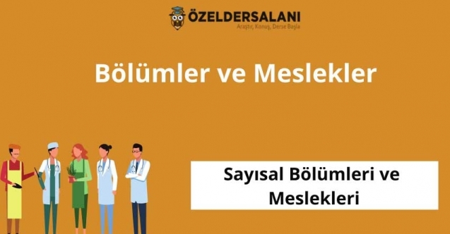 Sayısal Bölümleri ve Sayısal Meslekleri Nelerdir?