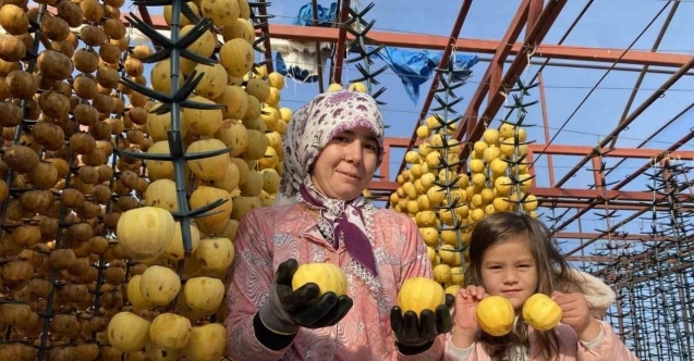 Alaşehir’de ilk kez ’Cennet Hurması Festivali’ düzenlenecek