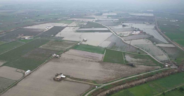 Yağışlar çiftçiyi umutlandırdı