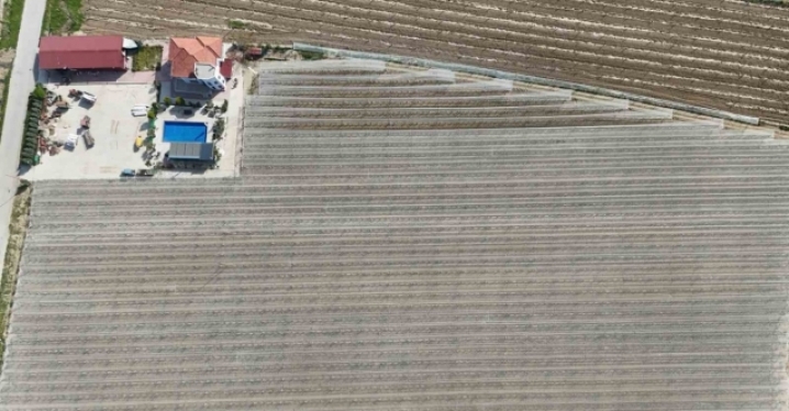 Kadın girişimciden tarımda akılcı çözüm