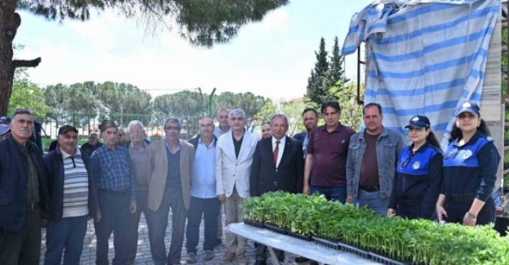 Salihlili üreticilere 34 bin sebze fidesi