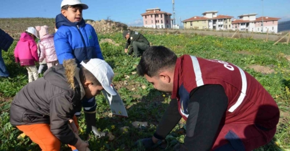 Manisa’da yanan alanlara 100 bininci fidan dikildi