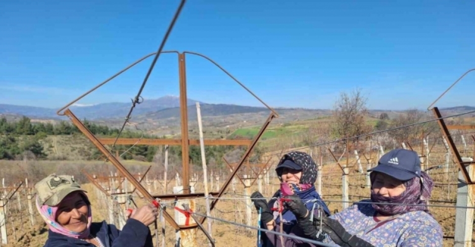 Sarıgöllü kadınlar 8 Mart’ı bağlarda çalışarak kutladı